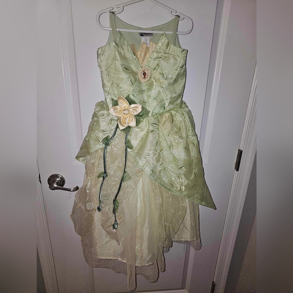 Princess Tiana Dress Princess and the Frog
